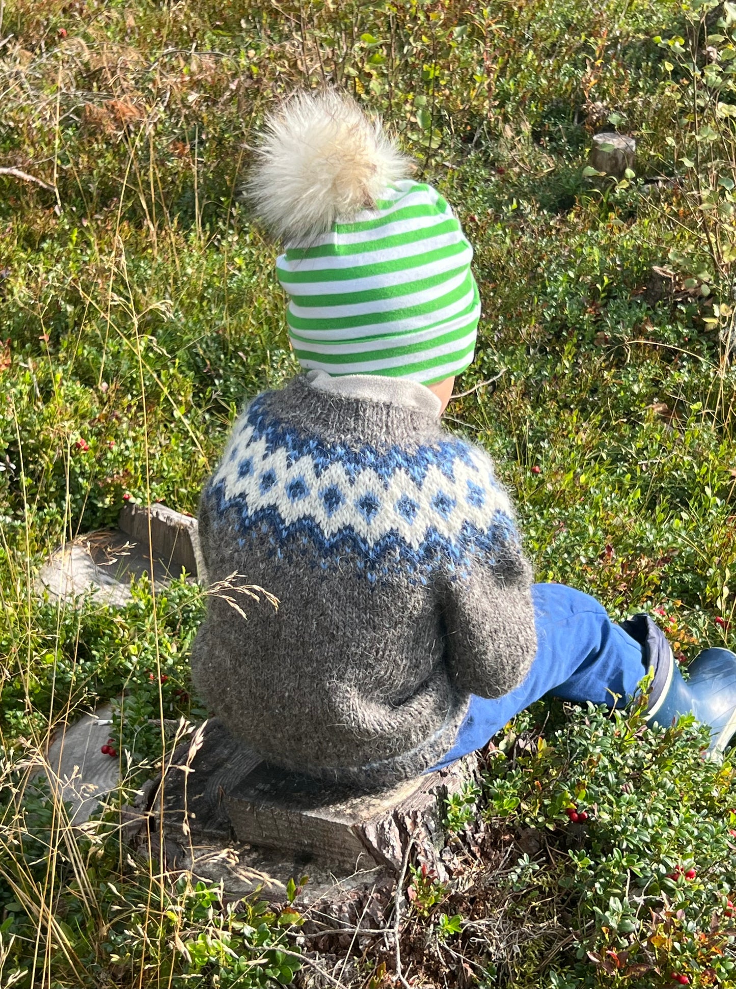 LEMMIKKI -JUNIOR Suomenkielinen neuleohje / FIN