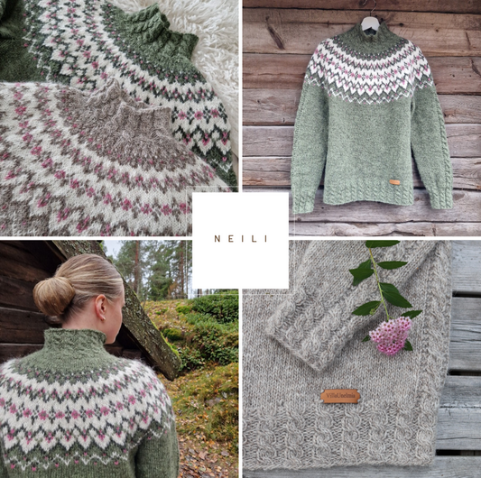 NEILI English Guide (ENG) / Englannin kielinen ohje