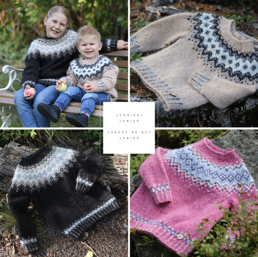 LEMMIKKI-Junior/  FORGET ME NOT -Junior / English guide (ENG)