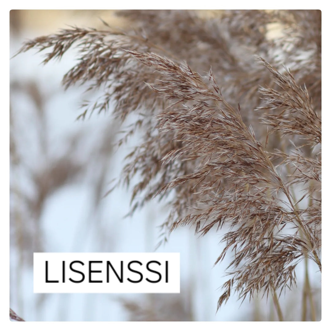 LISENSSI / LICENSE